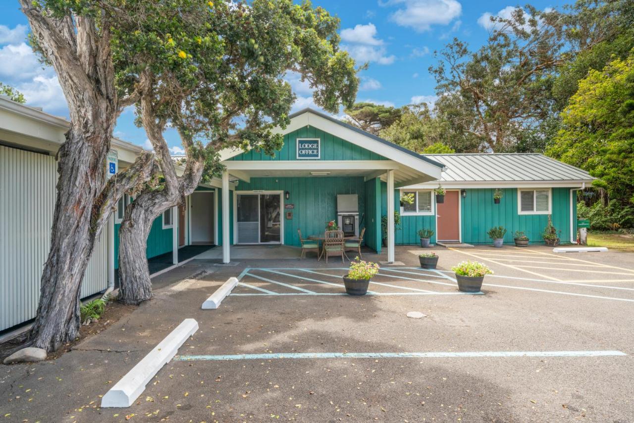 Castle Waimea Country Lodge Εξωτερικό φωτογραφία